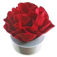 攜帶式造型蒸發加濕器, HNP-0016, 1個