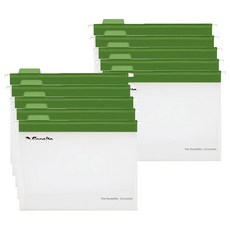 Esselte PP 透明懸掛文件夾, 綠色, 10個