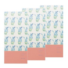 天空花卉檢查, 3個