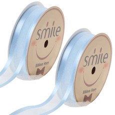 杜莉安創作 絲綢雙層歐根紗緞帶 25mm 05號, 2個, 天空藍