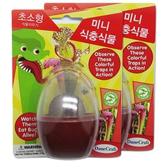 듄크래프트 식물키우기KIT 미니 식충식물, 재료 3p, 2개