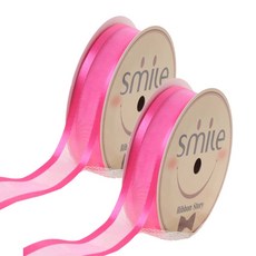 杜里與創作 絲綢雙層歐根紗緞帶 25mm 11號, 櫻桃, 2個