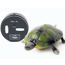 [반디]거북이 RC, 색상랜덤, 170*75*220mm, 1개