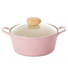 네오플램 레트로 유리양수 냄비, 22cm, 핑크, 1개