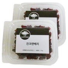 네이처가든 건크렌베리 트레이, 170g, 2개