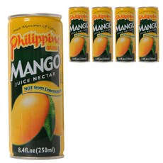 필리핀 망고주스, 250ml, 5개