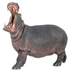 PAPO FRANCE 河馬動物公仔, 1個