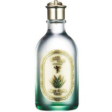 스킨푸드 아가베 선인장 토너, 145ml, 1개