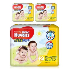 하기스 보송보송 드라이 밴드형 기저귀 남여공용, 228매, 2단계