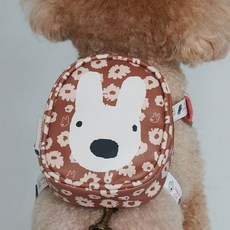 가스파드앤리사 하네스용 반려동물 백팩, 브라운, 1개