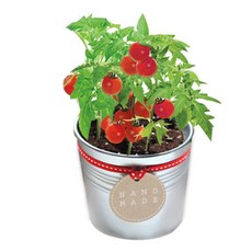 세경팜 양철 키친가든 텃밭 세트, 방울토마토