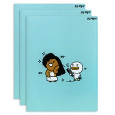 B급패밀리 파일 24-1068, 블루, 3개