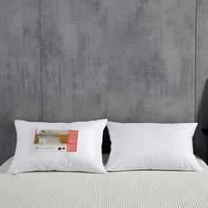 케이아이티 마이크로화이바 다운필 베개 솜 + 순면 60수 로얄샤틴 쟈가드 베개 커버, 화이트, 1개