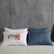 KIT HOME 超細纖維棉枕芯60支棉枕套 2入組, 海軍藍