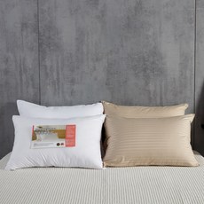 KIT HOME 超細纖維棉枕芯60支棉枕套 2入組, 奶油米色