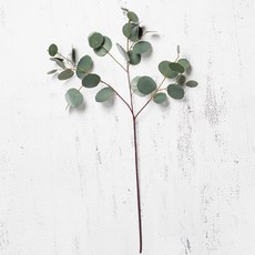 RYMD 室內裝飾人造花 圓葉尤加利, 混色, 1個