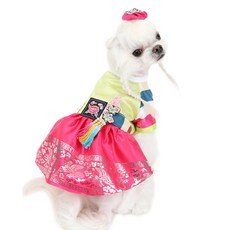 為 Yitzdog 的狗準備的 Jeongeum Saekdong 韓服, 混色