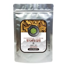 동이약초 국내산 영지버섯 절편, 100g, 1개