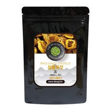 동이약초 중국산 상황버섯, 1kg, 1개