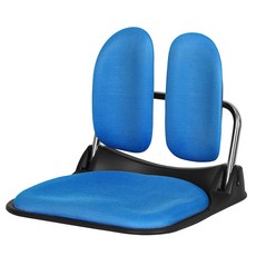 체어클럽 골드백2500 듀얼 좌식의자, 블루
