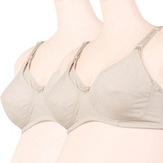 프리지아 수유브라 2개