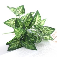 Happy Village 和諧 Syngonium Bush 2p, 混合顏色