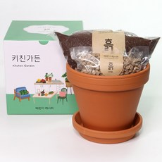 베란다 레시피 쉐프의 열매상자 미니당근