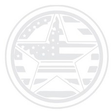 그리븐 성조기 차량용 스티커 50028, 브라이트그레이, 1개