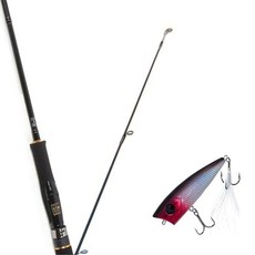 Won Da Avalon捲線式擬餌釣竿 662ML+Damiki D-Pop 70硬餌擬餌 271H BS CRYSTAL, 1套