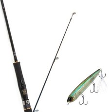 Won Da Avalon捲線器擬餌釣竿 662ML+Damiki Rambler 120硬餌擬餌 347T CLEAR REAL BAIT, 1套
