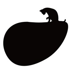 쿠 홈 인테리어 메모보드 MO 51 부착형 블랙, 아크릴