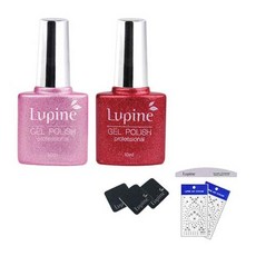 美甲凝膠 閃亮款 2入+磁鐵片 3入+拋光條+藝術裝飾貼紙, PRO SK-04 + PRO SK-05 + 光盤墊 3p + 斑馬文件 + 藝術貼紙 2p 隨機發貨, 1套