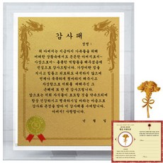 럭키심볼 크리스탈 감사패 8G 아버지 감사패 + 24K골드 카네이션 전자파 스티커