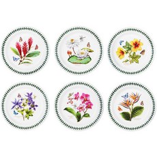 PORTmeIRION 波特玫琳恩 Exotic 中盤組, 1套, 6種