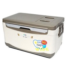 바낙스 쿨러 아이스박스 BC-30LW, BEI, 30L