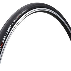 BRIDGESTONE 普利司通 EXTENSA RR2X自行車輪胎, 1個
