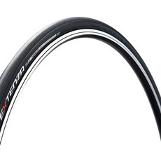 BRIDGESTONE 普利司通 EXTENSA RR2LL 自行車輪胎, 1個
