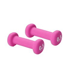 원더코어 네오프렌 아령 0.5kg, 2개, 핑크