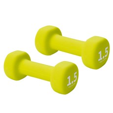 원더코어 네오프렌 아령 1.5kg, 2개, 그린