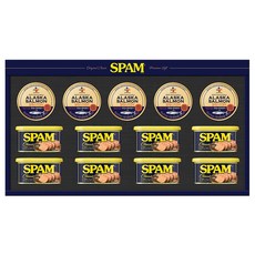 CJ제일제당 스팸 클래식 200g x 8p + 알래스카 연어 100g x 5p, 1세트
