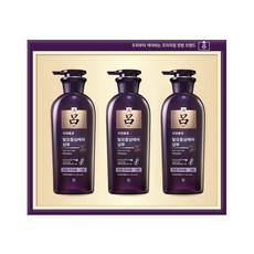 려 자양윤모 브랜드 한방샴푸 선물세트 + 쇼핑백, 400ml, 5개