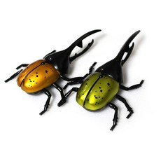 정경유통 벅스비틀 장수풍뎅이, 랜덤 발송, 1개