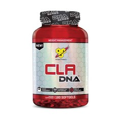 비에스엔 CLA DNA 소프트젤, 180개입, 1개, 180정