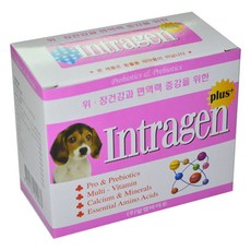 인트라젠 플러스 반려동물 영양제, 60g, 장건강/유산균, 1개