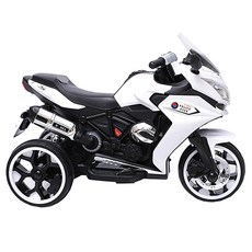 폴리스 에버 전동 바이크, 화이트, 1개