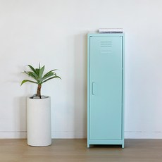 마켓비 세로중 1문 캐비넷, 민트