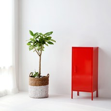 마켓비 캐비넷 모던세로중 1문 수납장 4251015, 레드