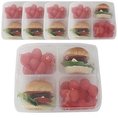 TINA PICNIC 野餐飯盒 4格款, 5件, 1個