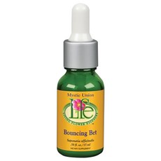 리빙플라워에센스 바운싱 벳, 15ml, 1개