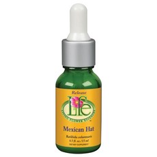리빙플라워에센스 멕시칸 햇, 1개, 15ml